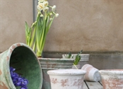 Potter - bland flere størrelser og designs